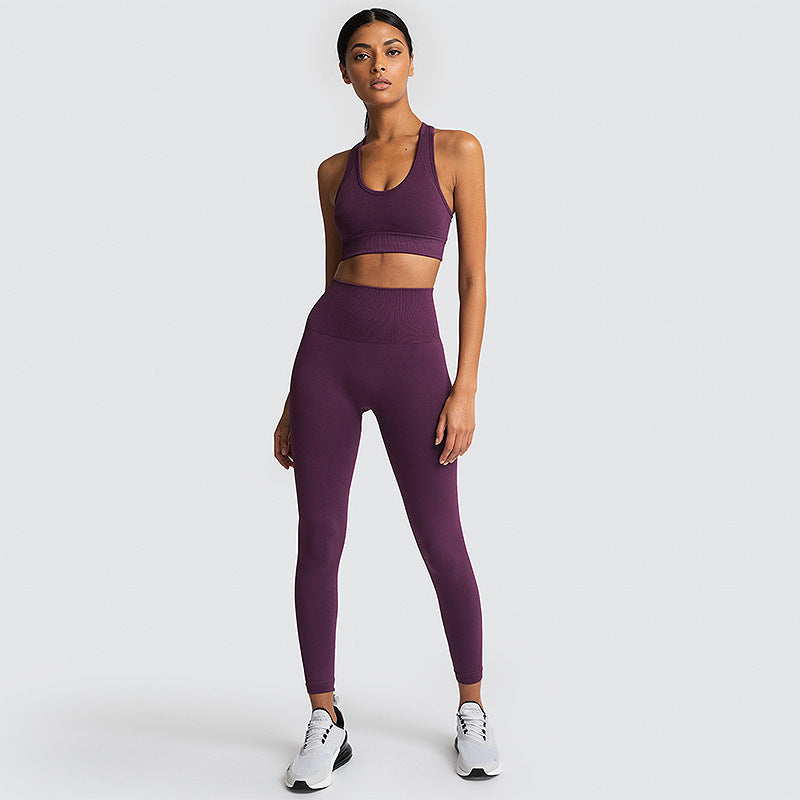 Seamless Gym Set Nylon Woman Sportswear